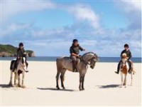 Horseback riding on a beach in Ireland - a dream come true!