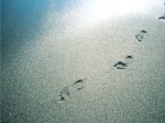 38 Footprints on Sand