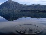 42 Reflection - Lake