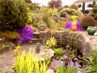 Rockery & Pond