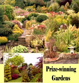 Boyce's Gardens