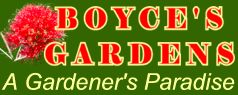 Boyce's Gardens