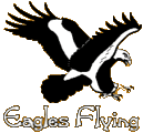 Eagles Flying - Irish Raptor Research Centre