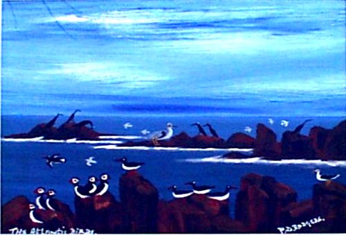 Atlantic Birds around Tory by Patsy Dan Rodgers