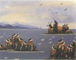 Tory Wildlife