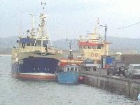 Downings Pier with local crabbing Boats offloading.