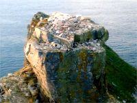 Leac na Leannán / Wishing Stone Leac na Leannán / Wishing Stone