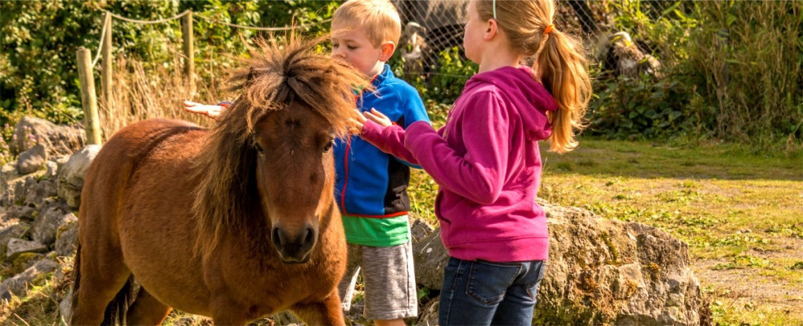 Children with a pony at Eagles Flying - Irish Raptor Research Centre, Sligo, Ireland