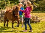 Children with a pony at Eagles Flying, Irish Raptor Research Centre, Ballymote, County Sligo, North West Ireland