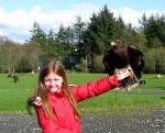 Young visitor with raptor at Eagles Flying, Irish Raptor Research Centre, County Sligo, North West Ireland